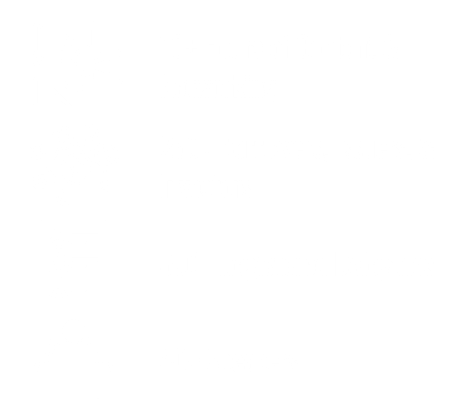 FFUS 2025 in review stats White