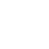 LinkedIn White Icon