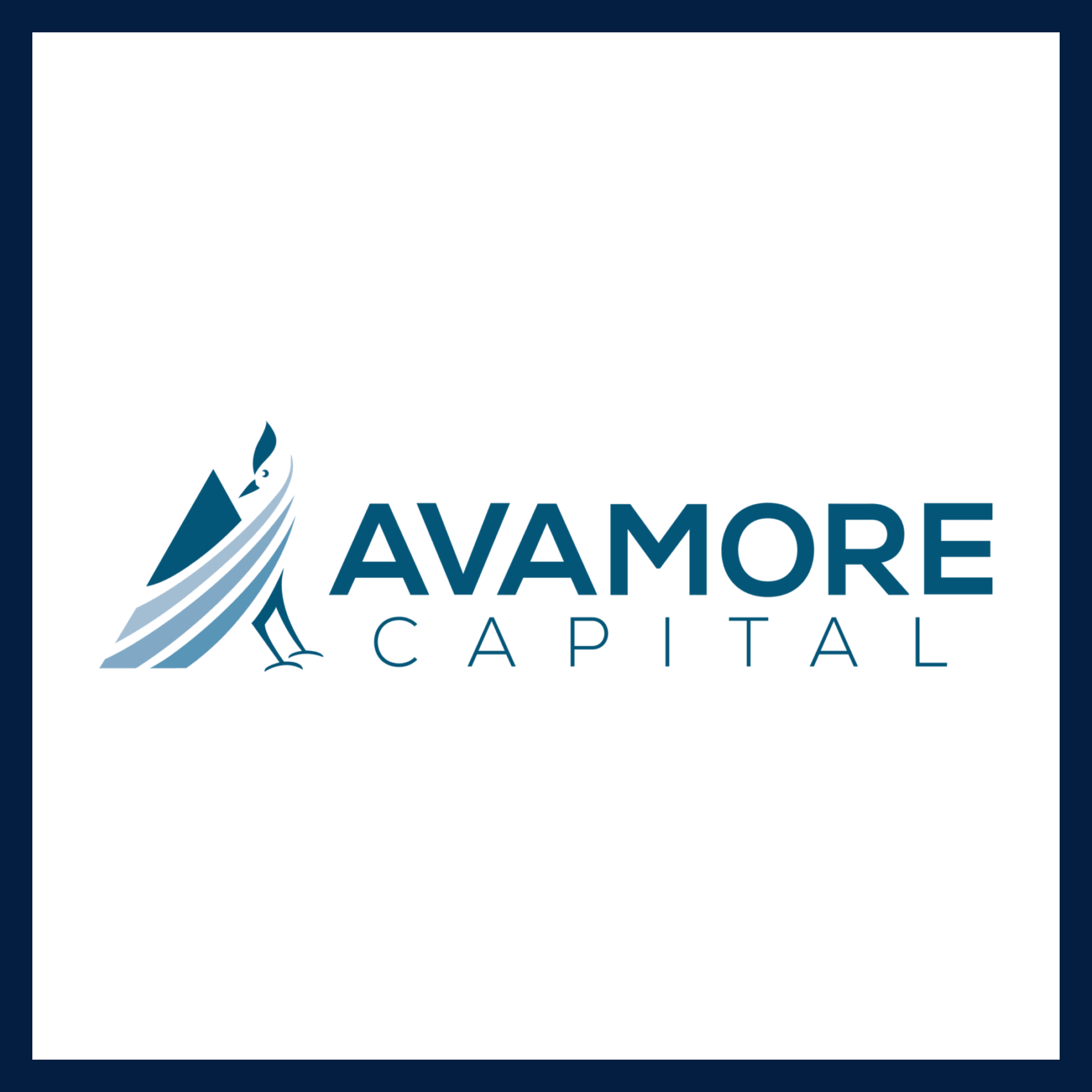 Avamore Capital