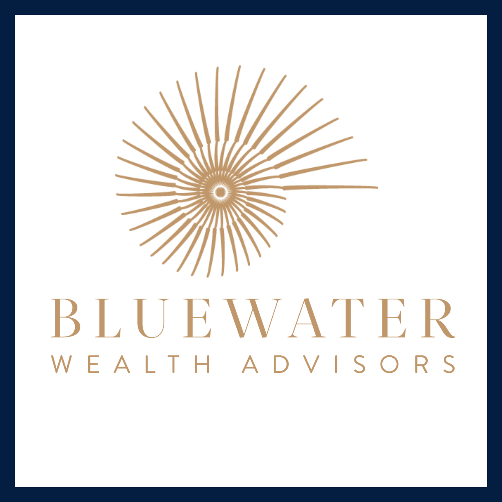 Bluewater Wealth Advisors logo PCC