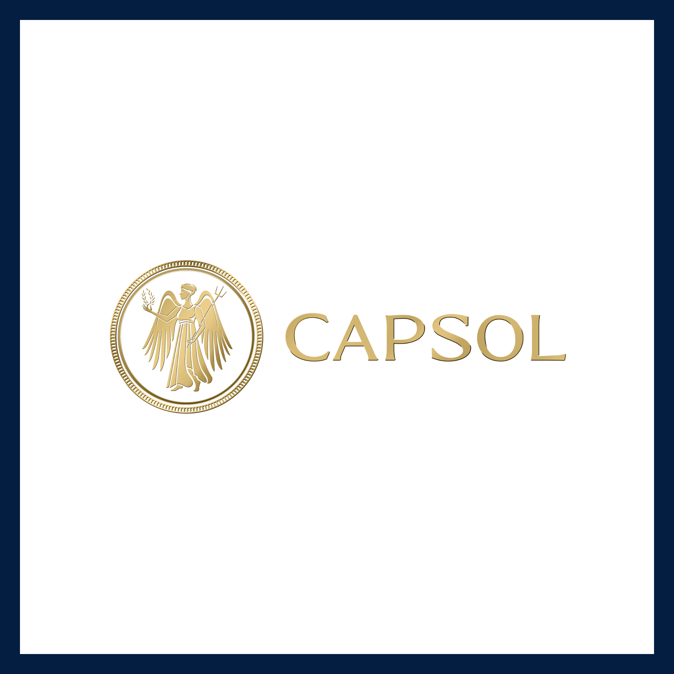 CapSol Finance