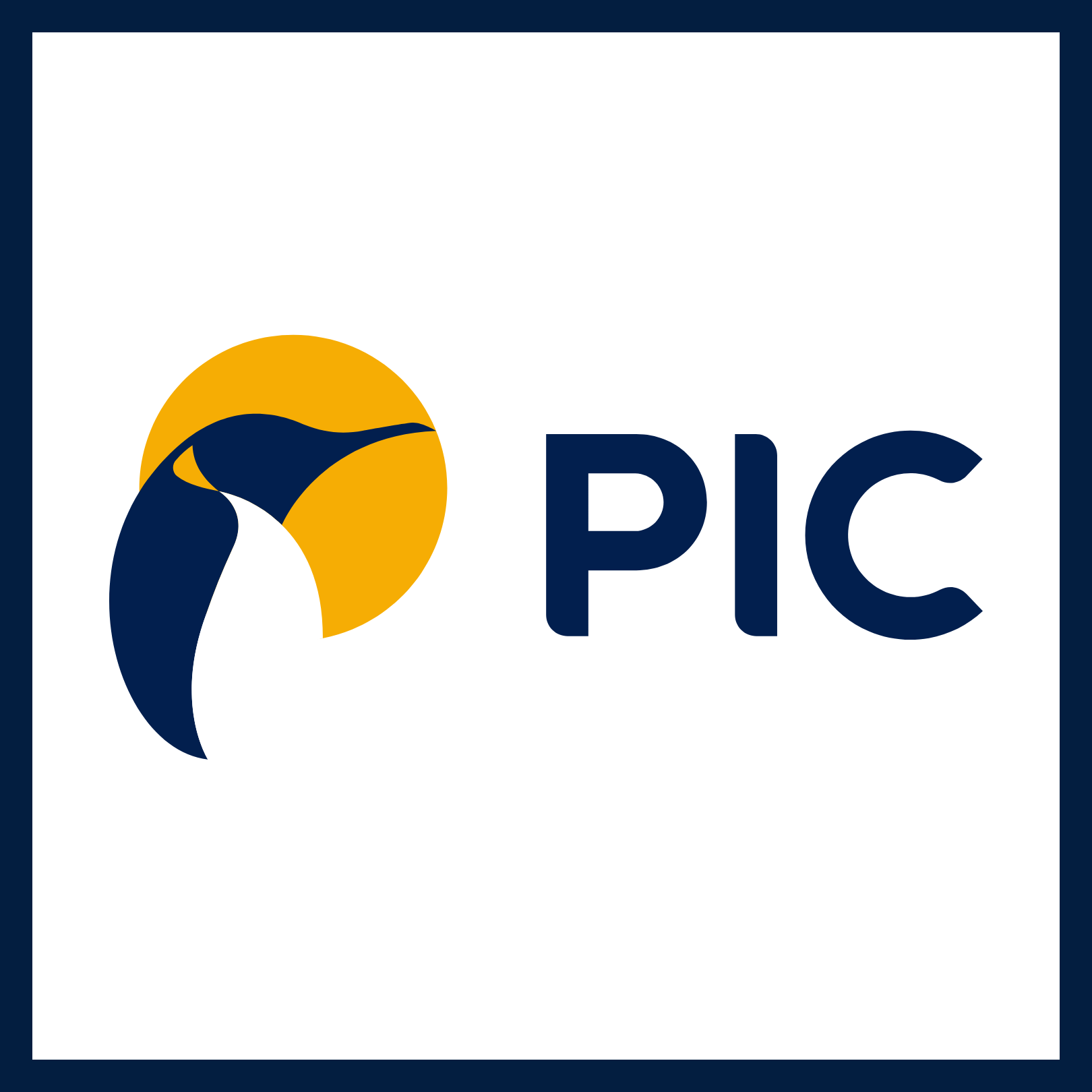 Pension Insurance Corporation logo PCC